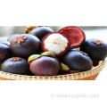 Poudre de jus de mangoustan pur blanc de fruits biologiques